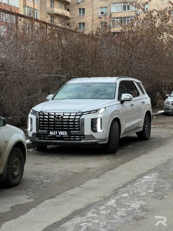 Hyundai Palisade до работ